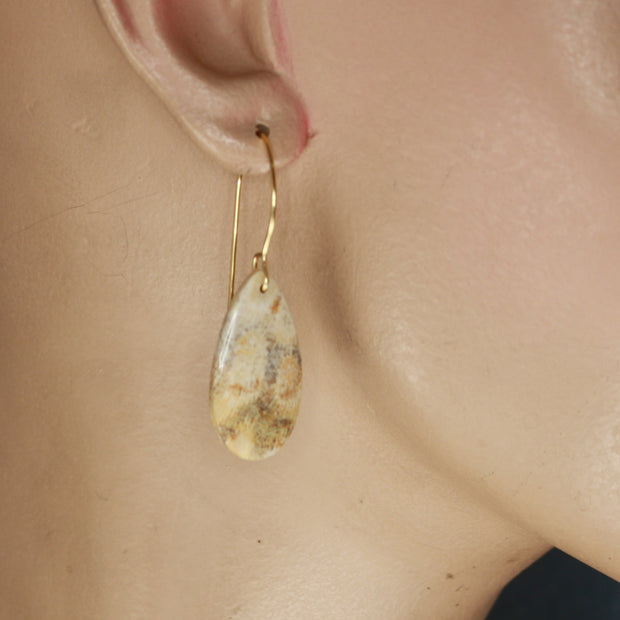 Petosky Stone 2 Earrings