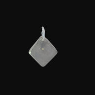 FS Flower and Leaf Charm