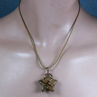 Tiger Eye Star Reversable Wirework Pendant