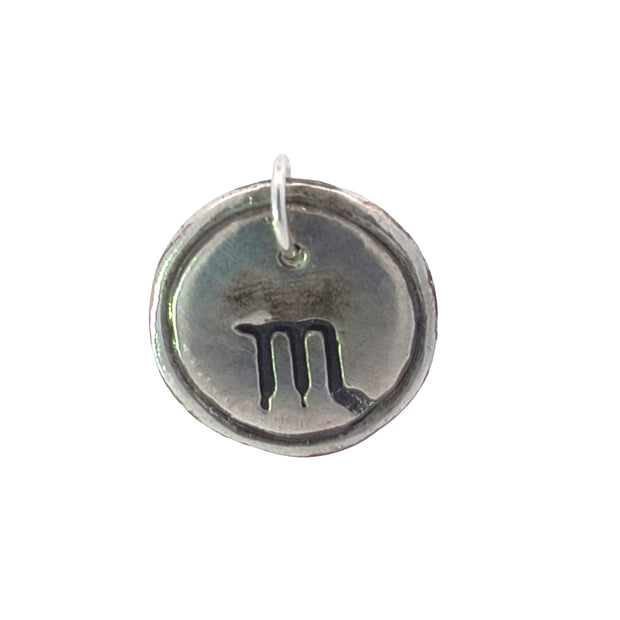 FS Scorpio - Water - Zodiac 2-sided Charm (Made to order)